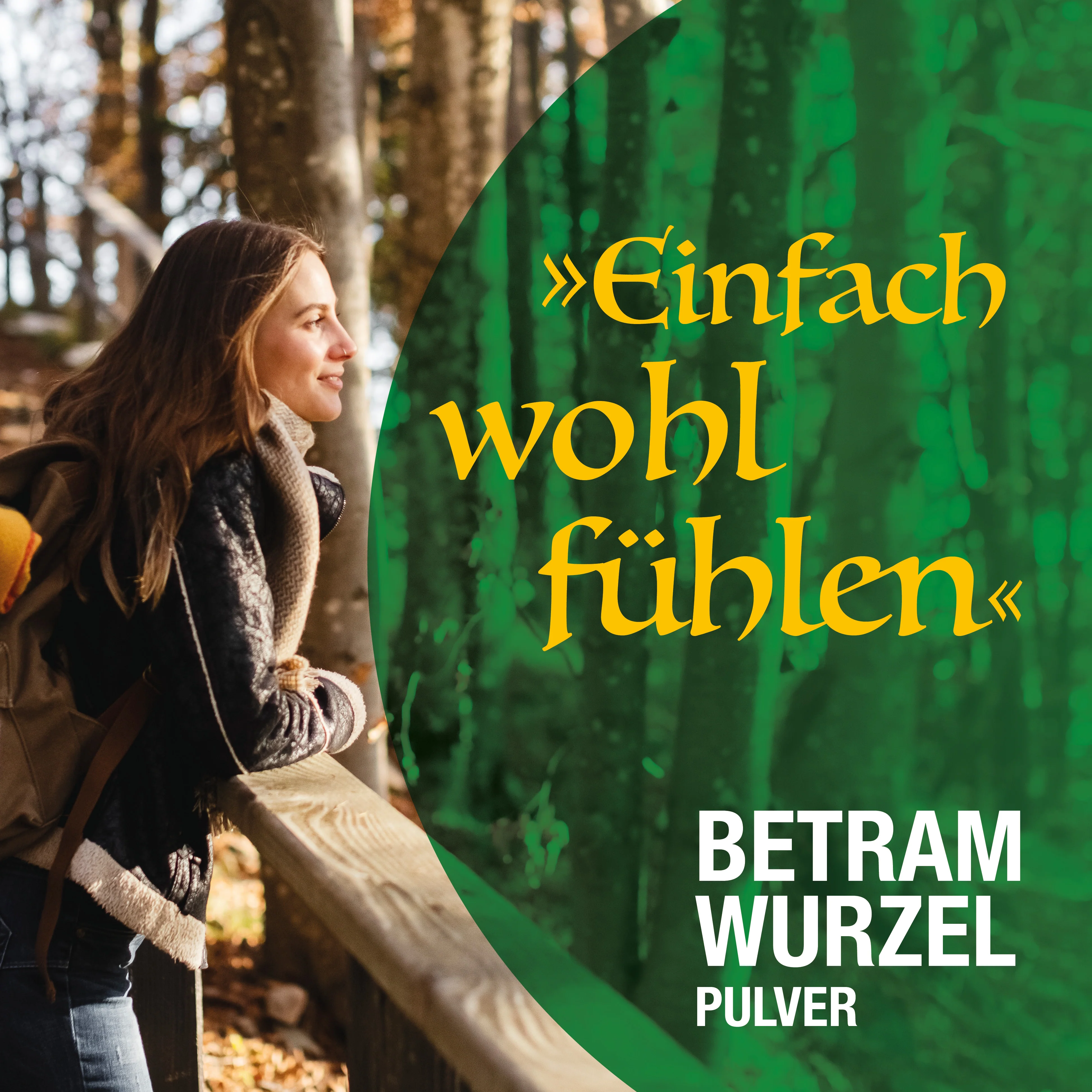 Bertramwurzelpulver - Image 6